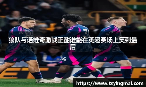 狼队与诺维奇激战正酣谁能在英超赛场上笑到最后